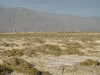 Desierto de Coahuila. Foto: Juan José Ibáñez                                  